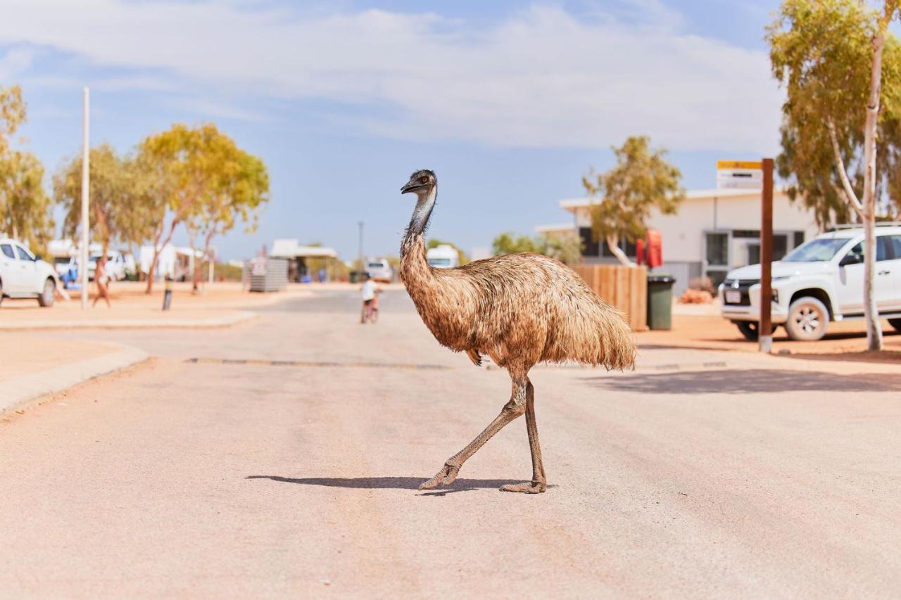 Rac Exmouth Cape Holiday Park Luaran gambar